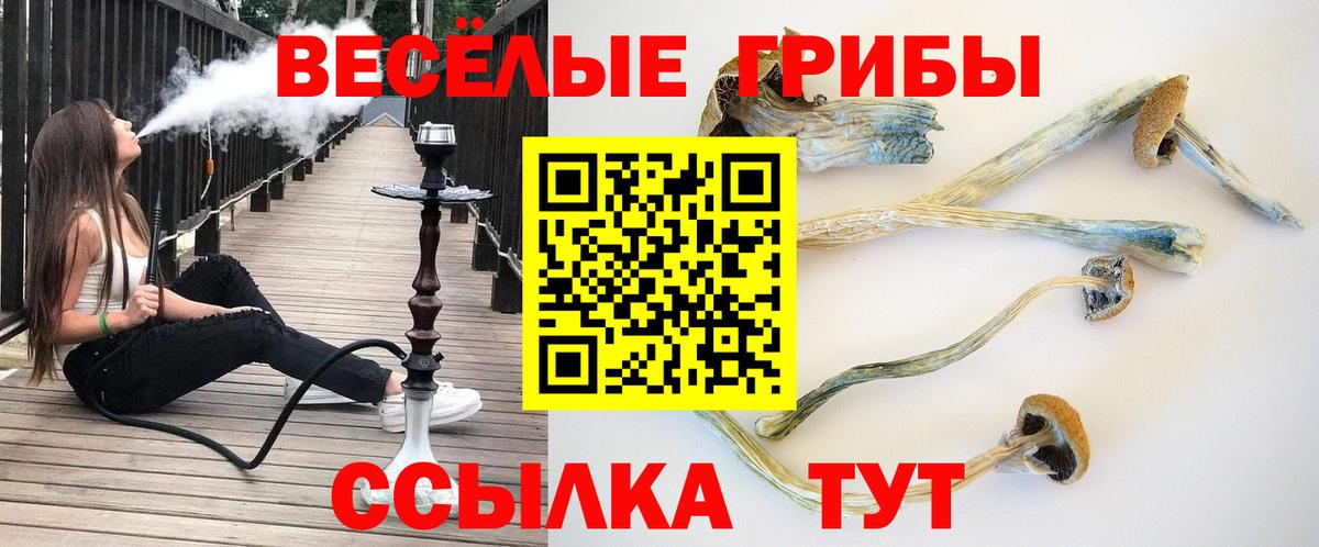 Галлюциногенные грибы Cubensis  Вход с VPN  Мелеуз 